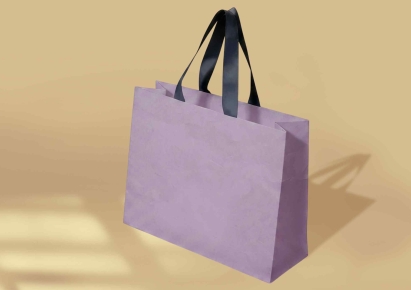 Premium ribbon-handle paper bags