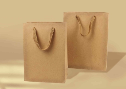 Ribbon-handle bags