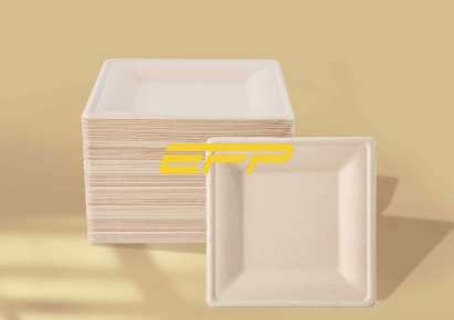 Square paper plates